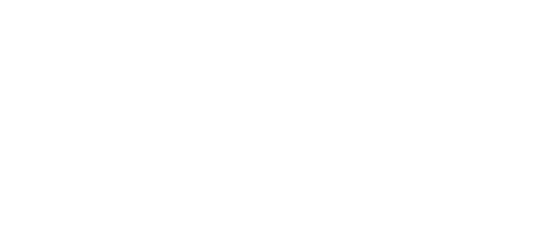 Nothing Rhymes With Orange Logo